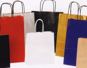 Paper Bags with Twist Handle